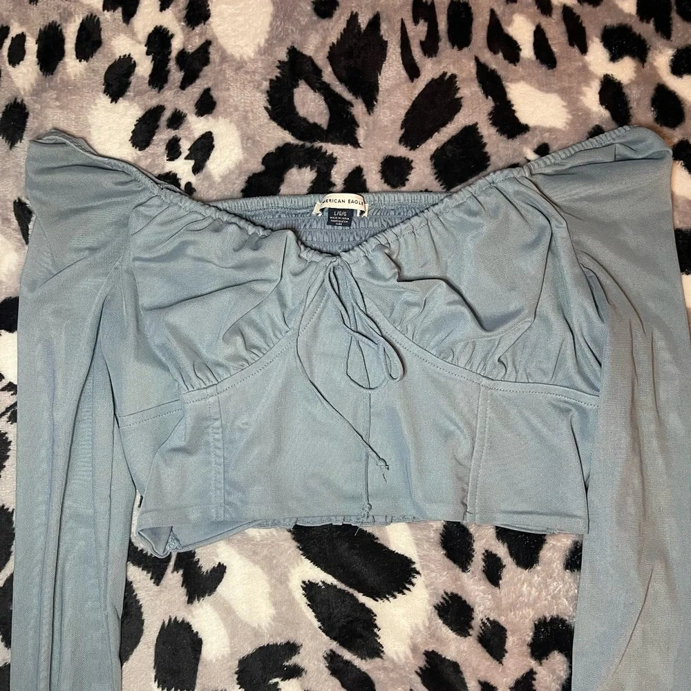 American Eagle Outfitters Blue Long Sleeve Top